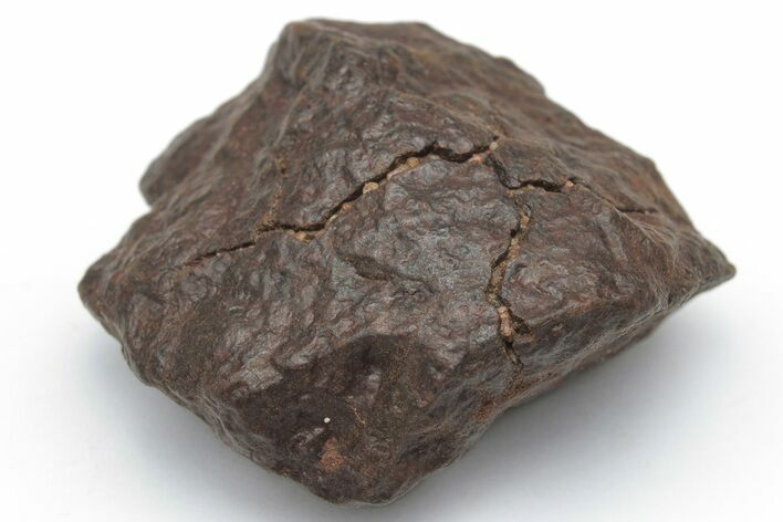 Chondrite Meteorite ( g) - Western Sahara Desert #222983